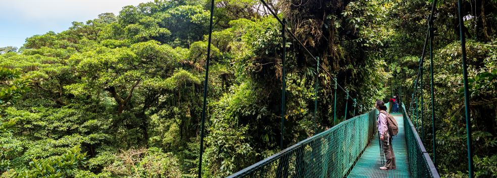 Monteverde Cloud Forest