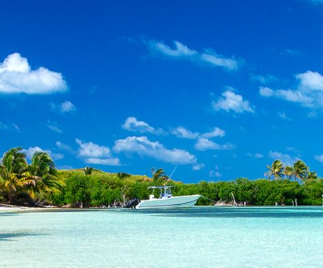 Ocean Cruises in the Caribbean