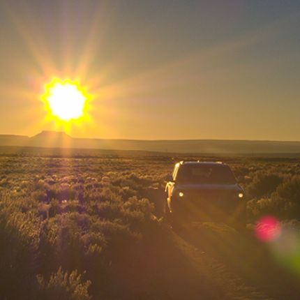 Early morning game drive