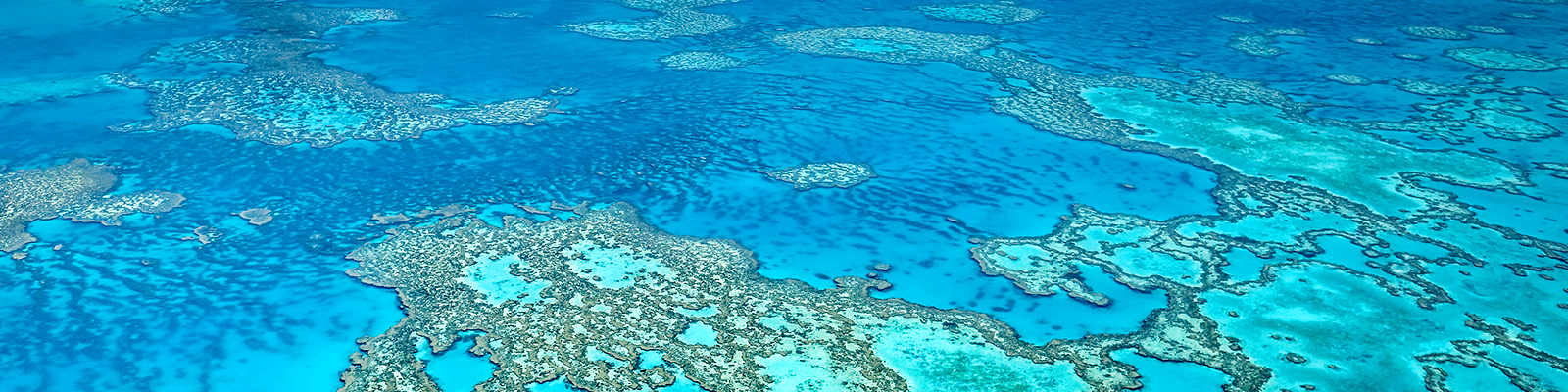 Australasia and Pacific