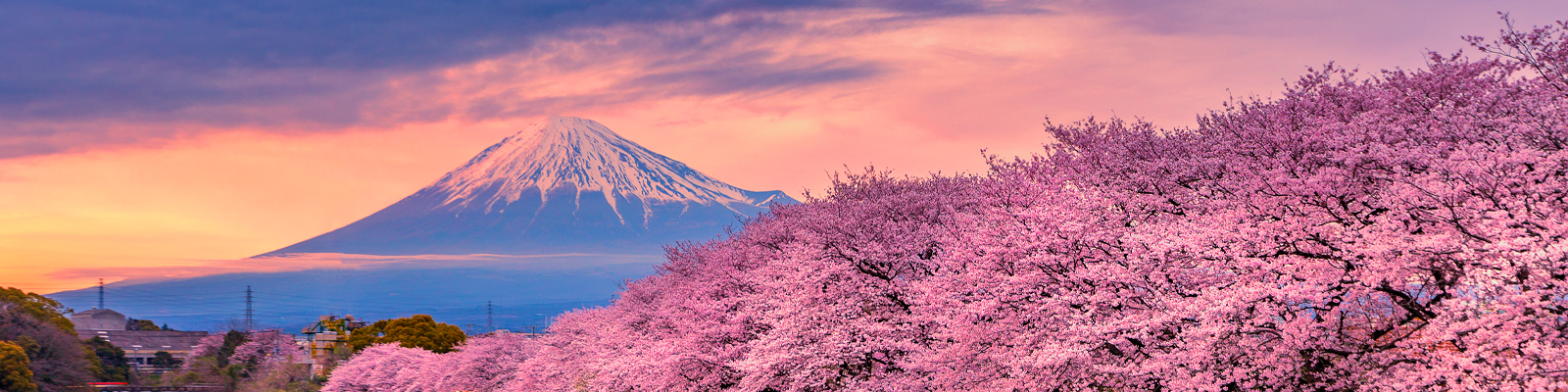 Ocean Cruises in Asia