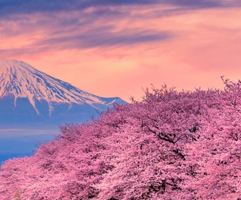 Ocean Cruises in Asia