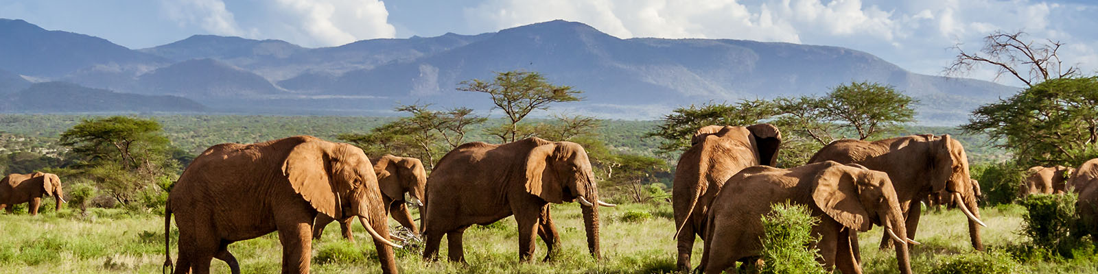 Kruger National Park