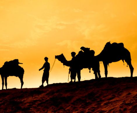 Ocean Cruises in the Middle East