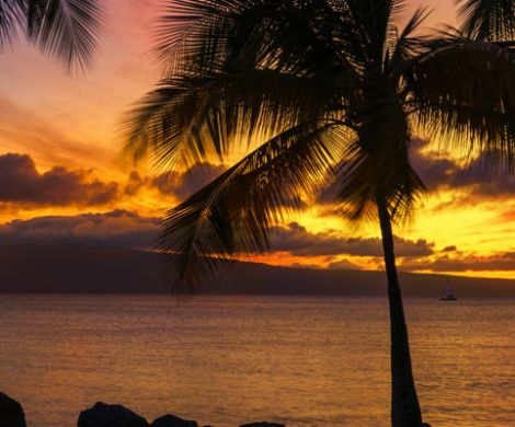 Ocean Cruises in Hawaii