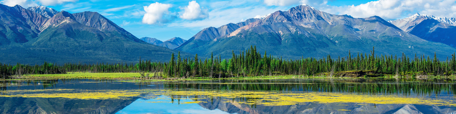 Ocean Cruises in North America