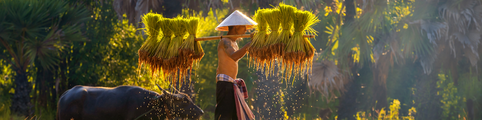 Save up to 10% on Escorted Tours